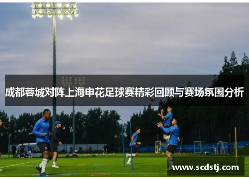 成都蓉城对阵上海申花足球赛精彩回顾与赛场氛围分析
