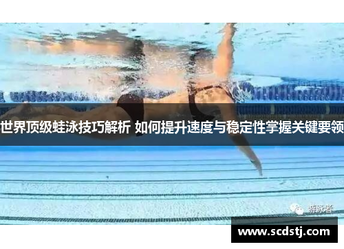 世界顶级蛙泳技巧解析 如何提升速度与稳定性掌握关键要领