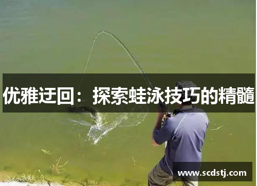 优雅迂回：探索蛙泳技巧的精髓
