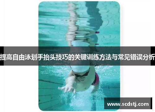 提高自由泳划手抬头技巧的关键训练方法与常见错误分析