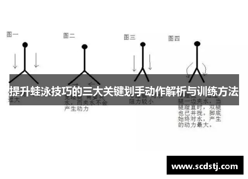 提升蛙泳技巧的三大关键划手动作解析与训练方法