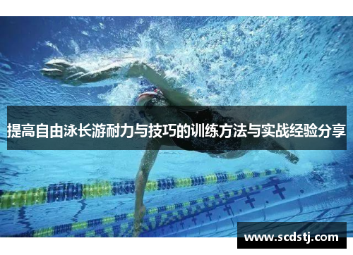 提高自由泳长游耐力与技巧的训练方法与实战经验分享