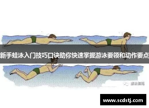 新手蛙泳入门技巧口诀助你快速掌握游泳要领和动作要点