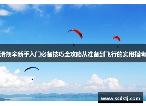滑翔伞新手入门必备技巧全攻略从准备到飞行的实用指南