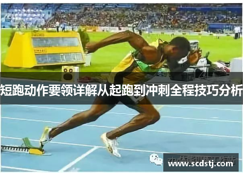 短跑动作要领详解从起跑到冲刺全程技巧分析