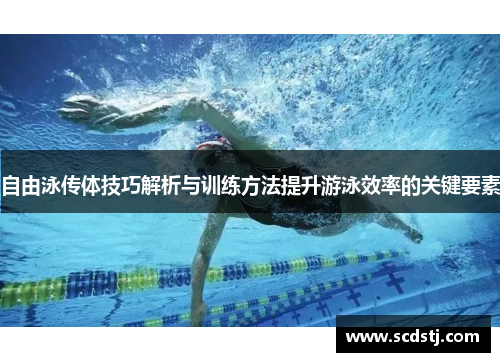 自由泳传体技巧解析与训练方法提升游泳效率的关键要素