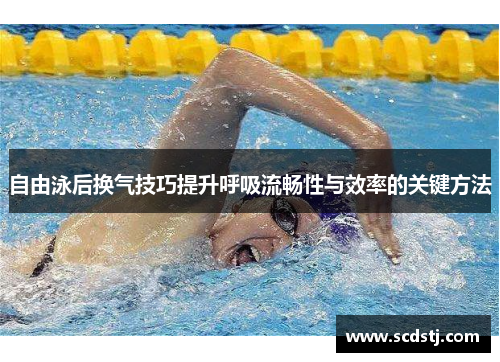 自由泳后换气技巧提升呼吸流畅性与效率的关键方法