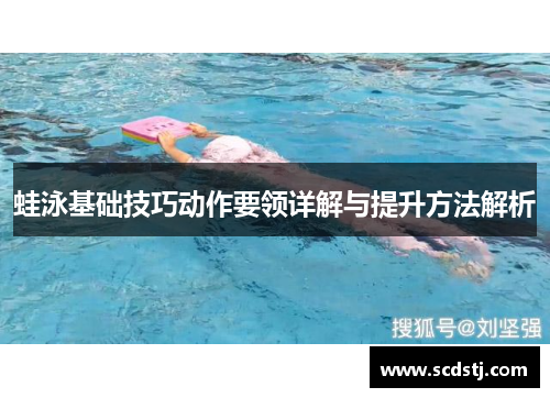 蛙泳基础技巧动作要领详解与提升方法解析