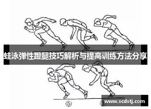 蛙泳弹性蹬腿技巧解析与提高训练方法分享