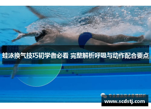 蛙泳换气技巧初学者必看 完整解析呼吸与动作配合要点