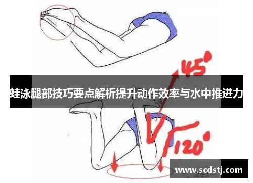 蛙泳腿部技巧要点解析提升动作效率与水中推进力