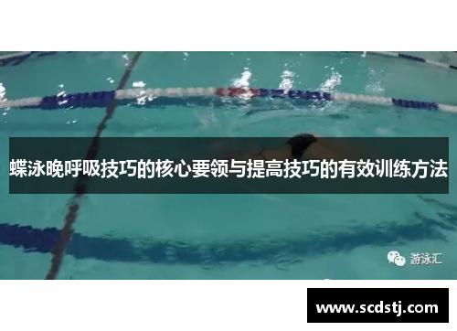 蝶泳晚呼吸技巧的核心要领与提高技巧的有效训练方法