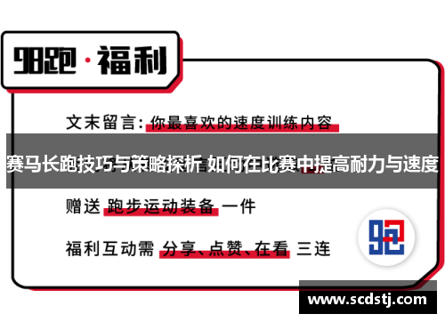 赛马长跑技巧与策略探析 如何在比赛中提高耐力与速度