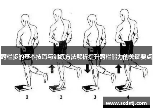 跨栏步的基本技巧与训练方法解析提升跨栏能力的关键要点