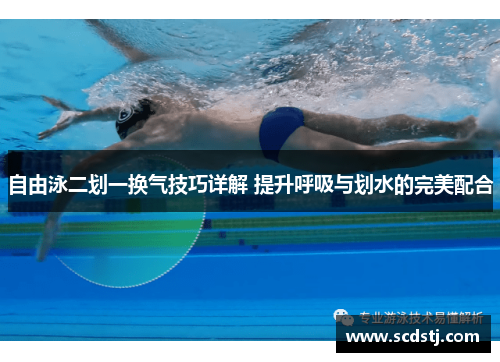 自由泳二划一换气技巧详解 提升呼吸与划水的完美配合